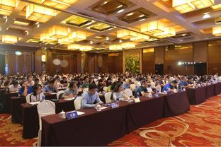 深度票據網2019商票生態峰會暨票據經紀商轉型研討會隆重舉行，共繪貿易經紀新藍圖